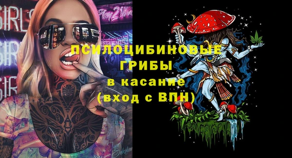 экстази Белокуриха