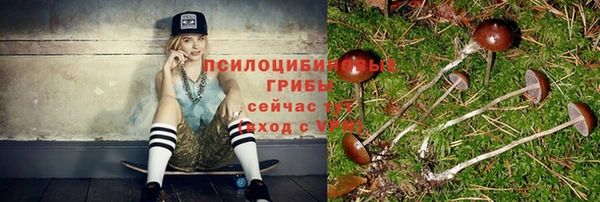 экстази Белокуриха