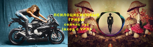 не бодяженный Беломорск