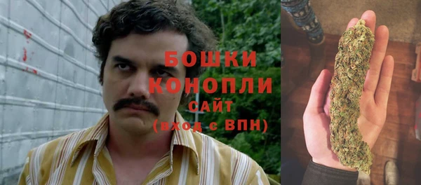 экстази Белокуриха